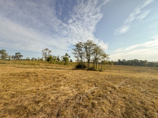 Clearview Pond property photo