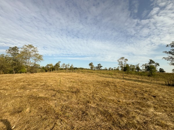 Clearview Pond property photo