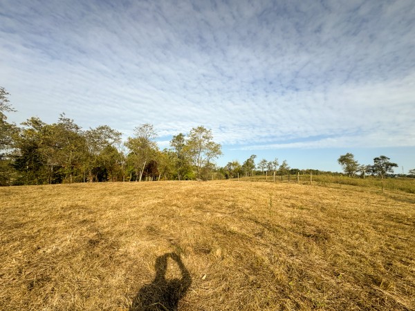 Clearview Pond property photo