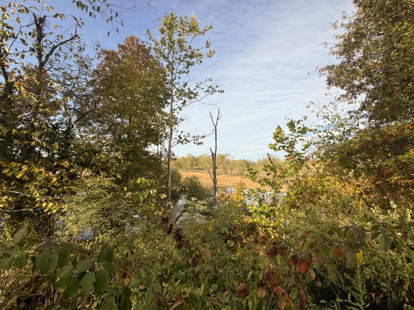 Clearview Pond property photo
