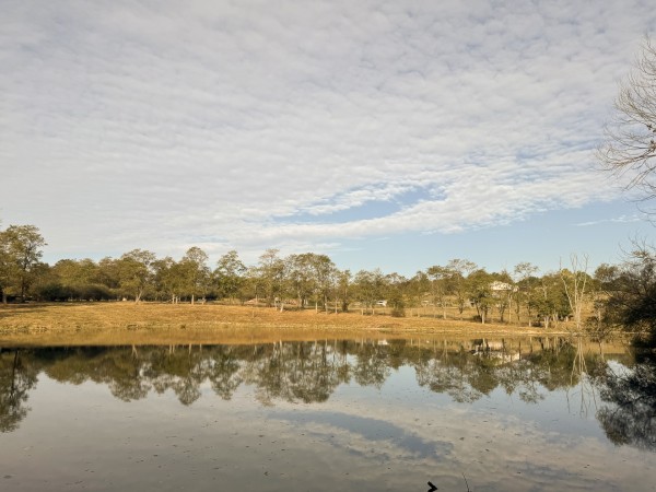 Clearview Pond property photo