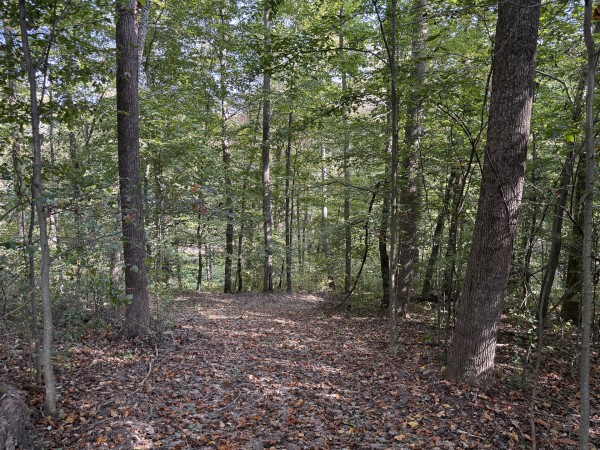 Tract 6 at Wolf Hill Estates property photo
