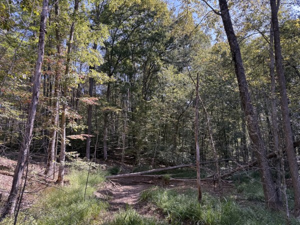 Tract 6 at Wolf Hill Estates property photo