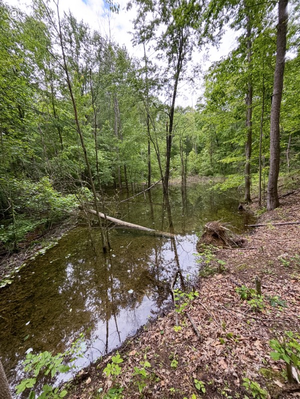 Tract 6 at Wolf Hill Estates property photo