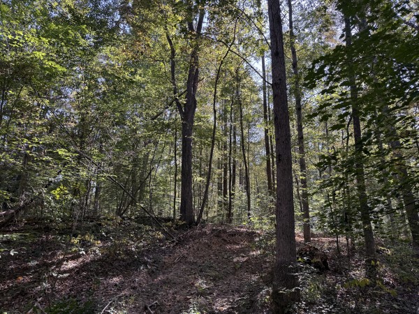 Tract 6 at Wolf Hill Estates property photo