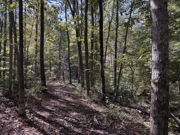 Tract 6 at Wolf Hill Estates property photo