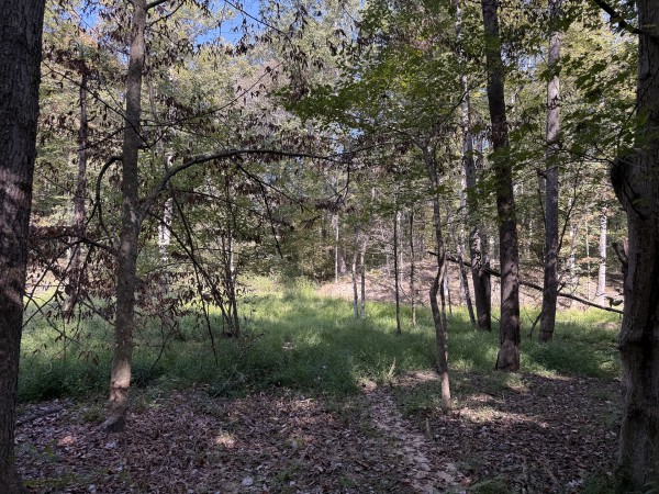 Tract 6 at Wolf Hill Estates property photo