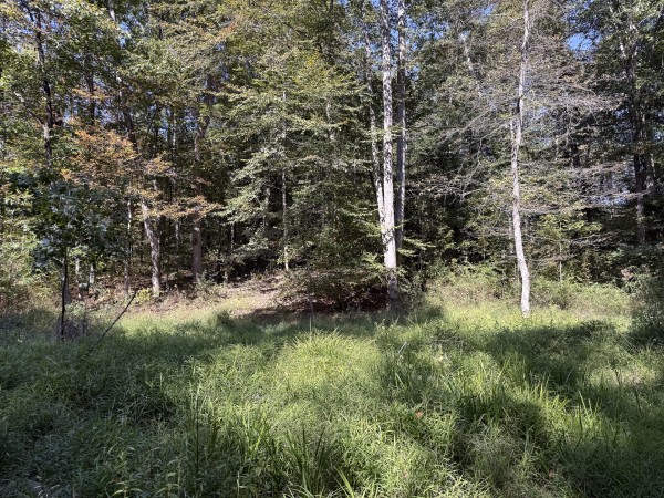 Tract 6 at Wolf Hill Estates property photo