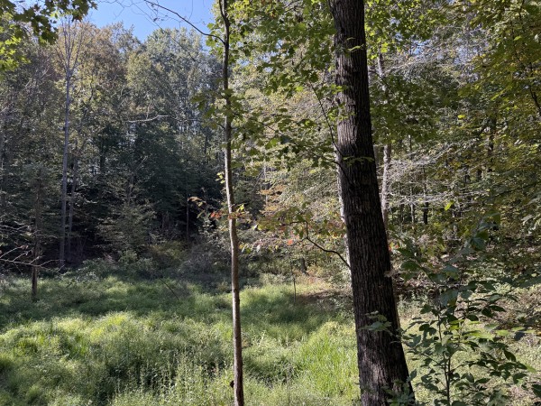 Tract 6 at Wolf Hill Estates property photo