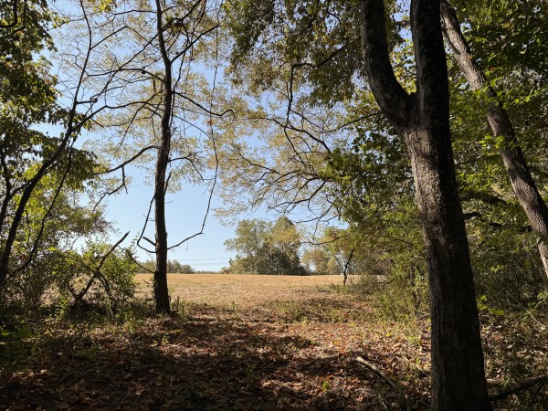Tract 6 at Wolf Hill Estates property photo