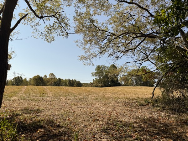 Tract 6 at Wolf Hill Estates property photo