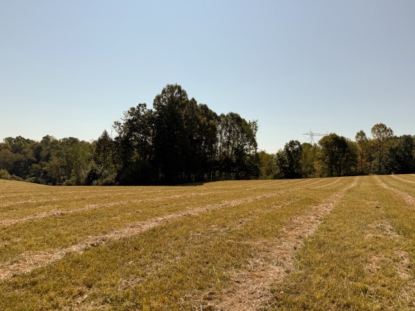 Tract 6 at Wolf Hill Estates property photo