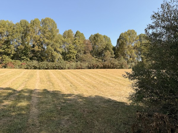 Tract 6 at Wolf Hill Estates property photo