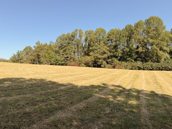 Tract 6 at Wolf Hill Estates property photo