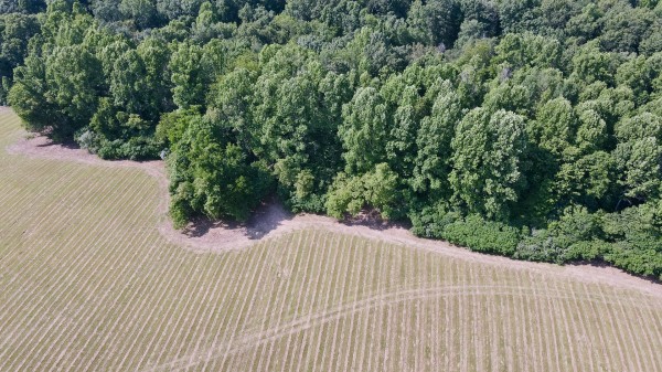 Tract 6 at Wolf Hill Estates property photo