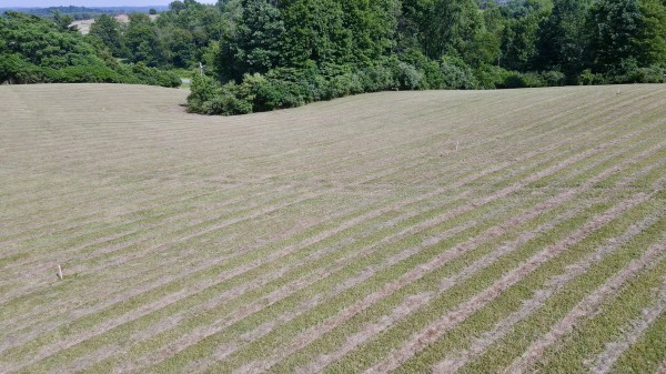 Tract 6 at Wolf Hill Estates property photo