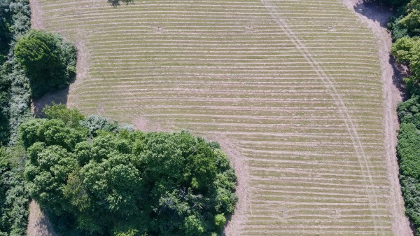 Tract 6 at Wolf Hill Estates property photo