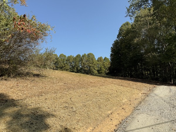 Tract 6 at Wolf Hill Estates property photo