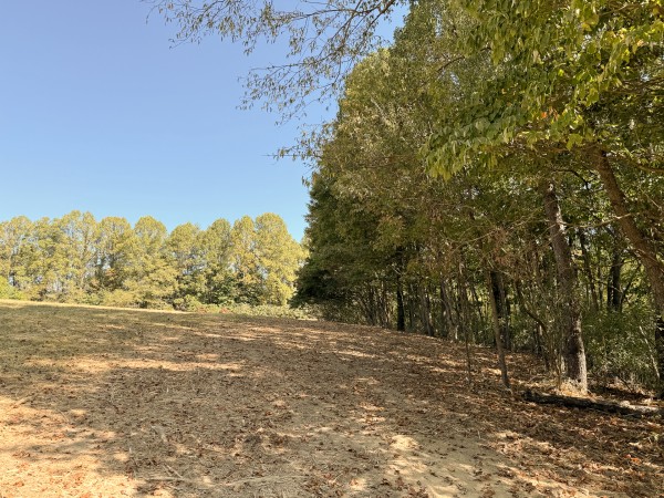 Tract 6 at Wolf Hill Estates property photo