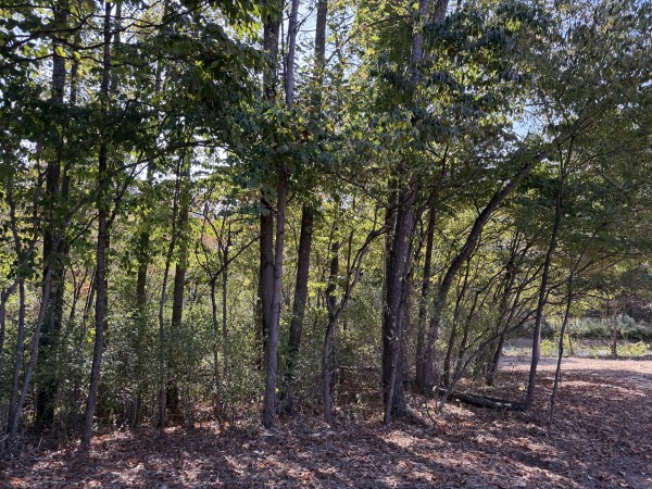Tract 6 at Wolf Hill Estates property photo