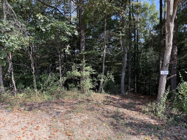 Tract 6 at Wolf Hill Estates property photo