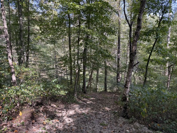 Tract 6 at Wolf Hill Estates property photo
