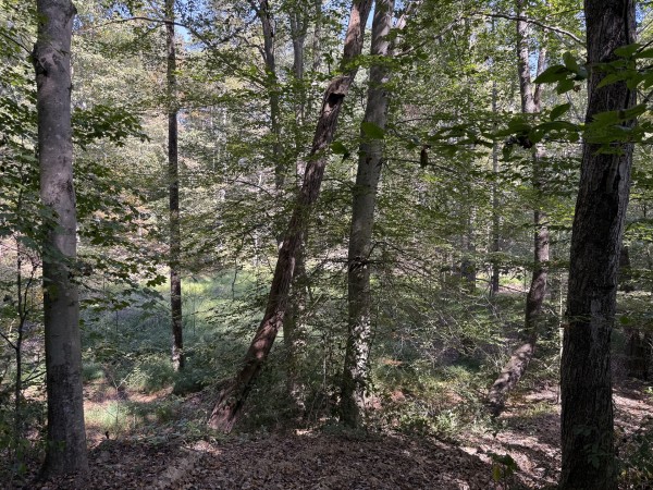 Tract 6 at Wolf Hill Estates property photo
