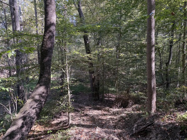 Tract 6 at Wolf Hill Estates property photo
