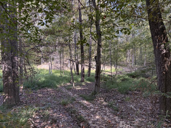 Tract 6 at Wolf Hill Estates property photo