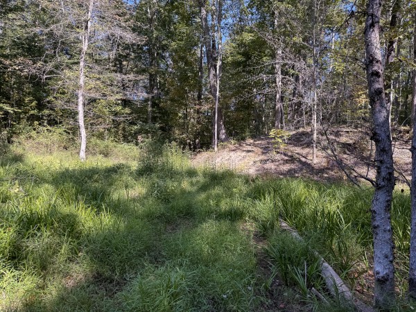 Tract 6 at Wolf Hill Estates property photo