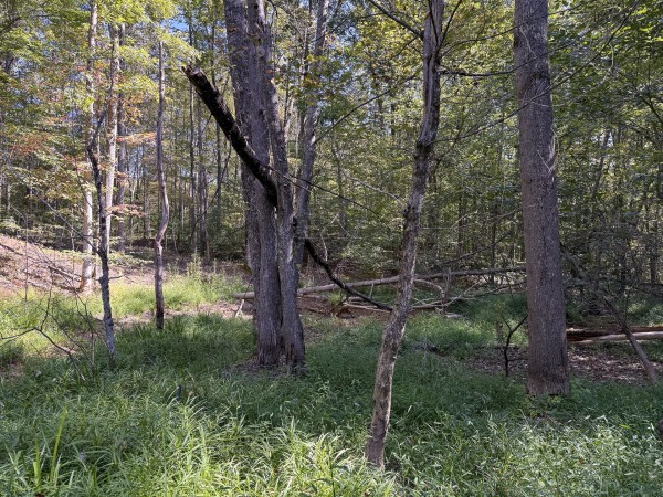Tract 6 at Wolf Hill Estates property photo