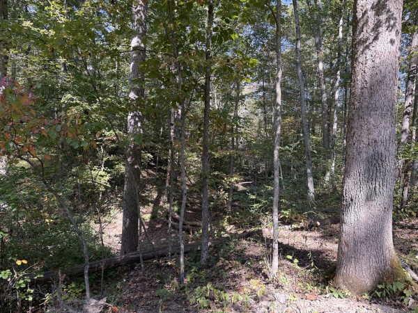Tract 6 at Wolf Hill Estates property photo