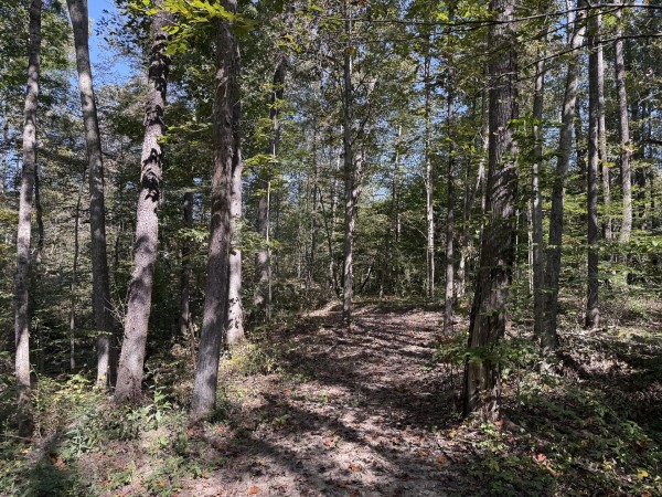 Tract 6 at Wolf Hill Estates property photo
