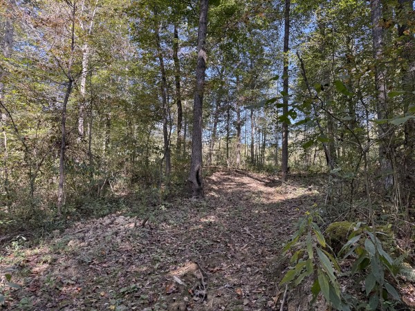 Tract 6 at Wolf Hill Estates property photo