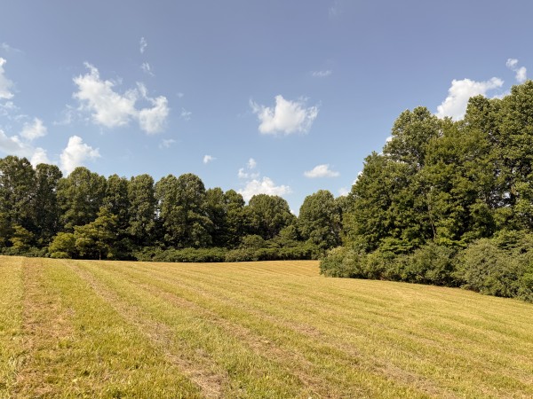 Tract 6 at Wolf Hill Estates property photo