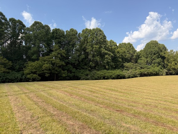 Tract 6 at Wolf Hill Estates property photo