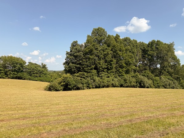 Tract 6 at Wolf Hill Estates property photo