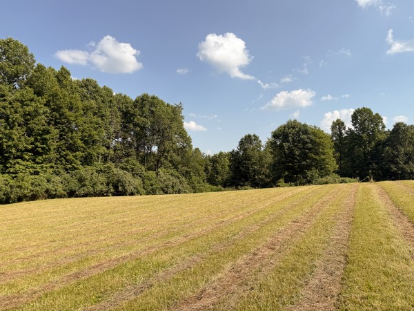 Tract 6 at Wolf Hill Estates property photo