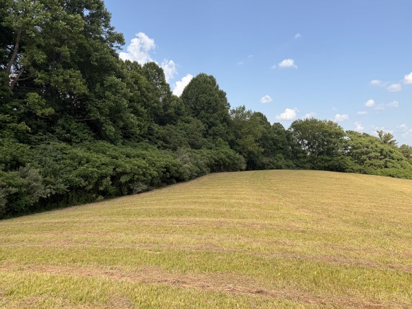 Tract 6 at Wolf Hill Estates property photo