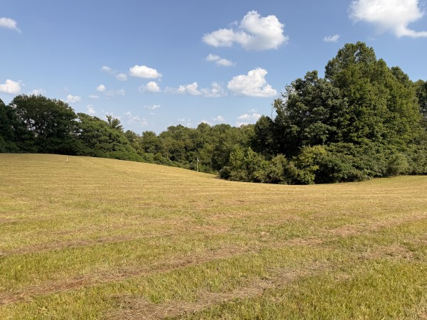 Tract 6 at Wolf Hill Estates property photo