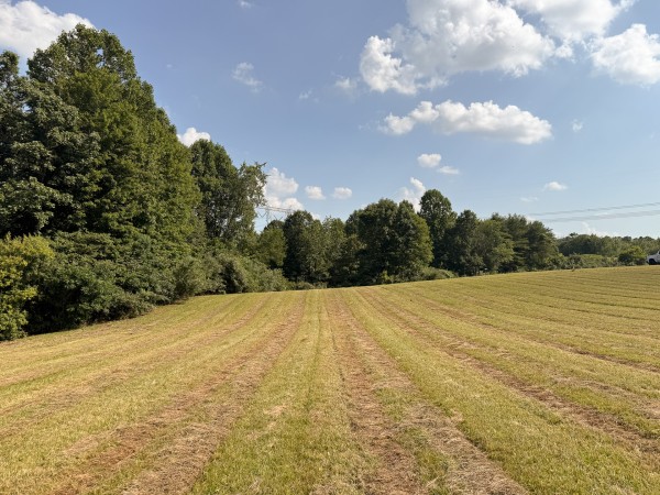 Tract 6 at Wolf Hill Estates property photo