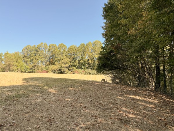 More of Tract 6 at Wolf Hill Estates