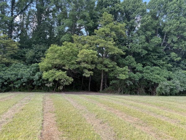 Tract 6 at Wolf Hill Estates property photo