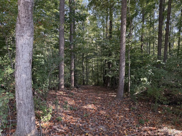 Tract 6 at Wolf Hill Estates property photo