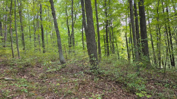 Tract B – Hocking Hideout on Monday Creek property photo