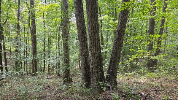 Tract B – Hocking Hideout on Monday Creek property photo