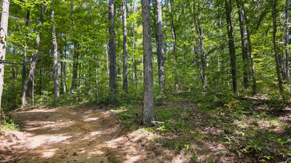 Tract B – Hocking Hideout on Monday Creek property photo