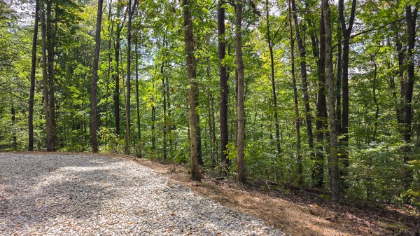 Tract B – Hocking Hideout on Monday Creek property photo