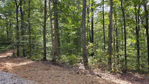 Tract B – Hocking Hideout on Monday Creek property photo
