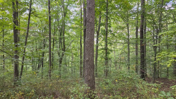 Tract B – Hocking Hideout on Monday Creek property photo